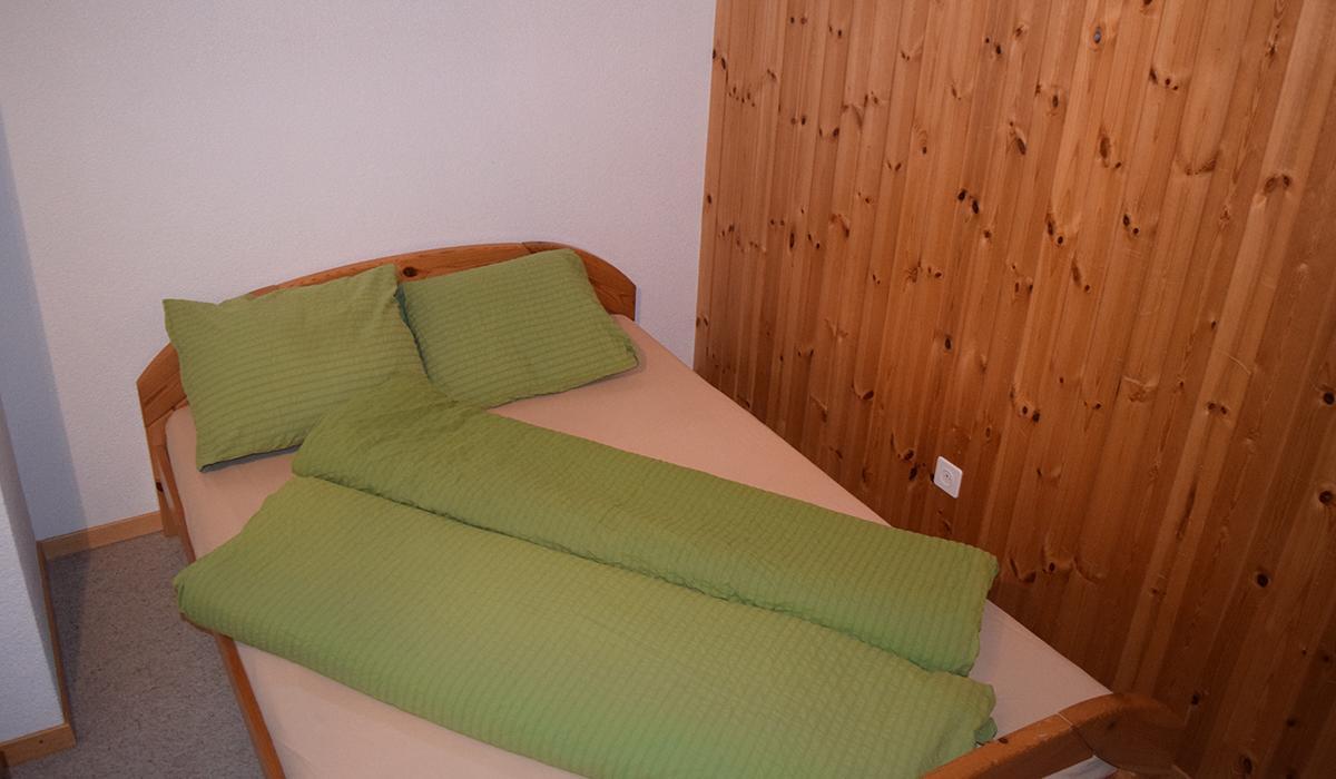 בללפ Hotel Aletschhorn מראה חיצוני תמונה